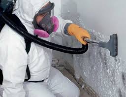 Best Biohazard Mold Removal  in Haverhill, FL